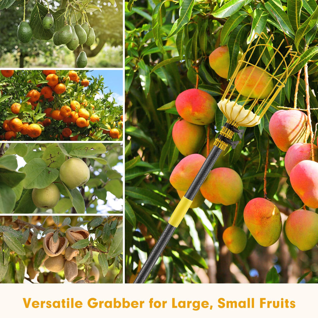 Fruit Catcher for Trees,10FT Fruit Picker Tool, Adjustable Fruits Picker with Pole and Big Basket, Fruit Catcher Equipment Tree Picker for Lemon Apple Mango Orange Avocados Fruit Picking Grabber Tool