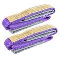 Vigtayue 2-Pack 1Inches x 3.3Ft 2-Ply Twisted Eye & Eye Polyester Lifting Sling, Lifting Slings 2204lbs Webbing Sling,Heavy Duty Lift Sling Web for Industrial Shop Use, Hoist, Tree Stumps, Purple