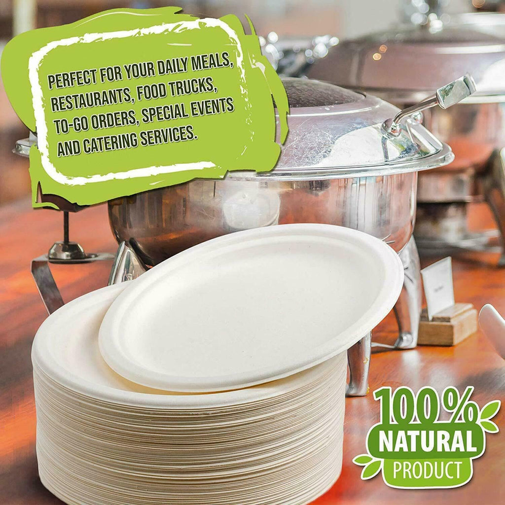 10 Inch Paper Plates, Compostable Disposable Paper Plates,Disposable Sugarcane Paper Party Plates, 50 Count
