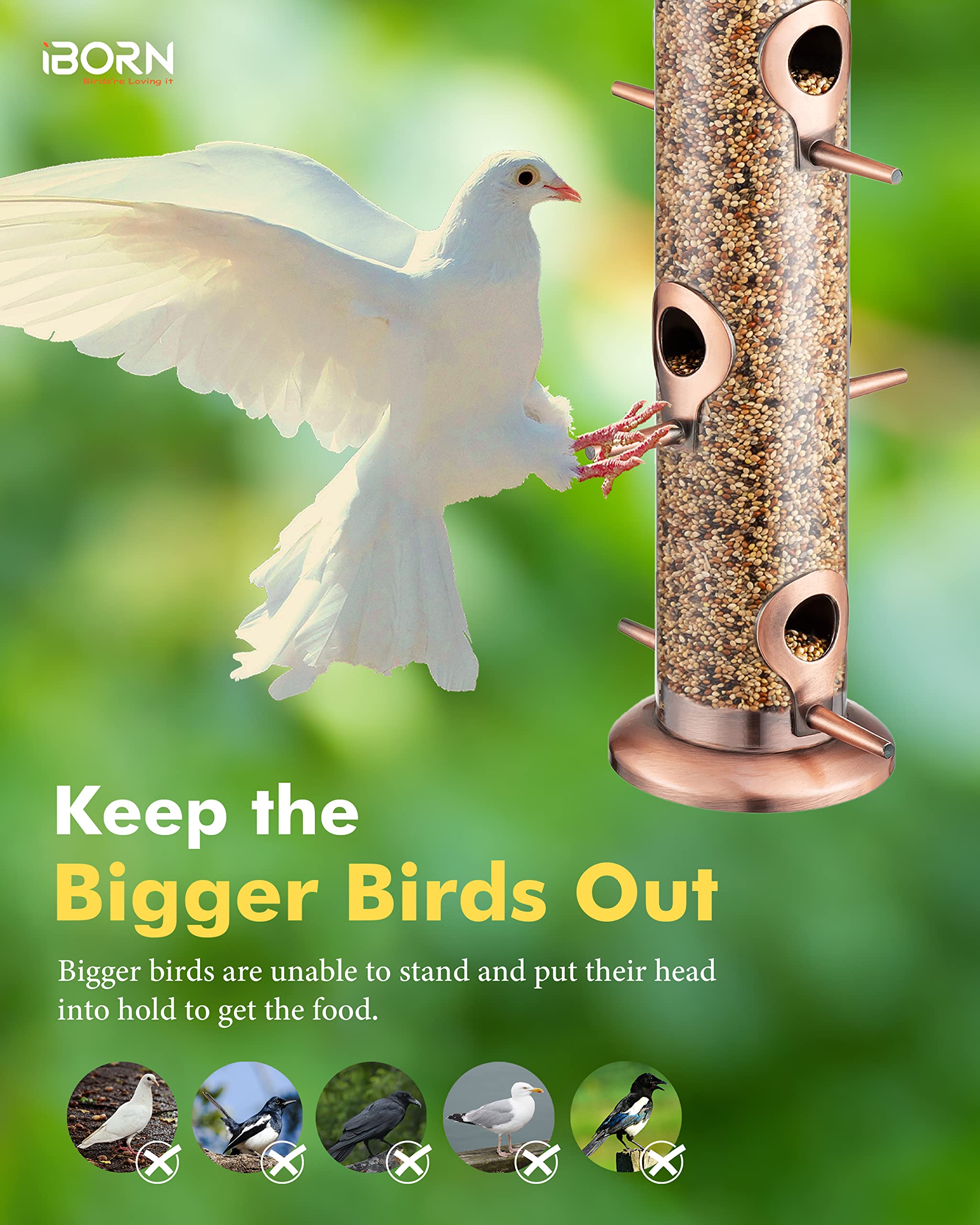 iBorn Metal Bird Feeders Brushed Copper Wild Bird Feeder for Outdoors Hanging All Metal Brushed Copper Finishing 15 Inch 6 Port,Pack of 1(Seed is not Included)