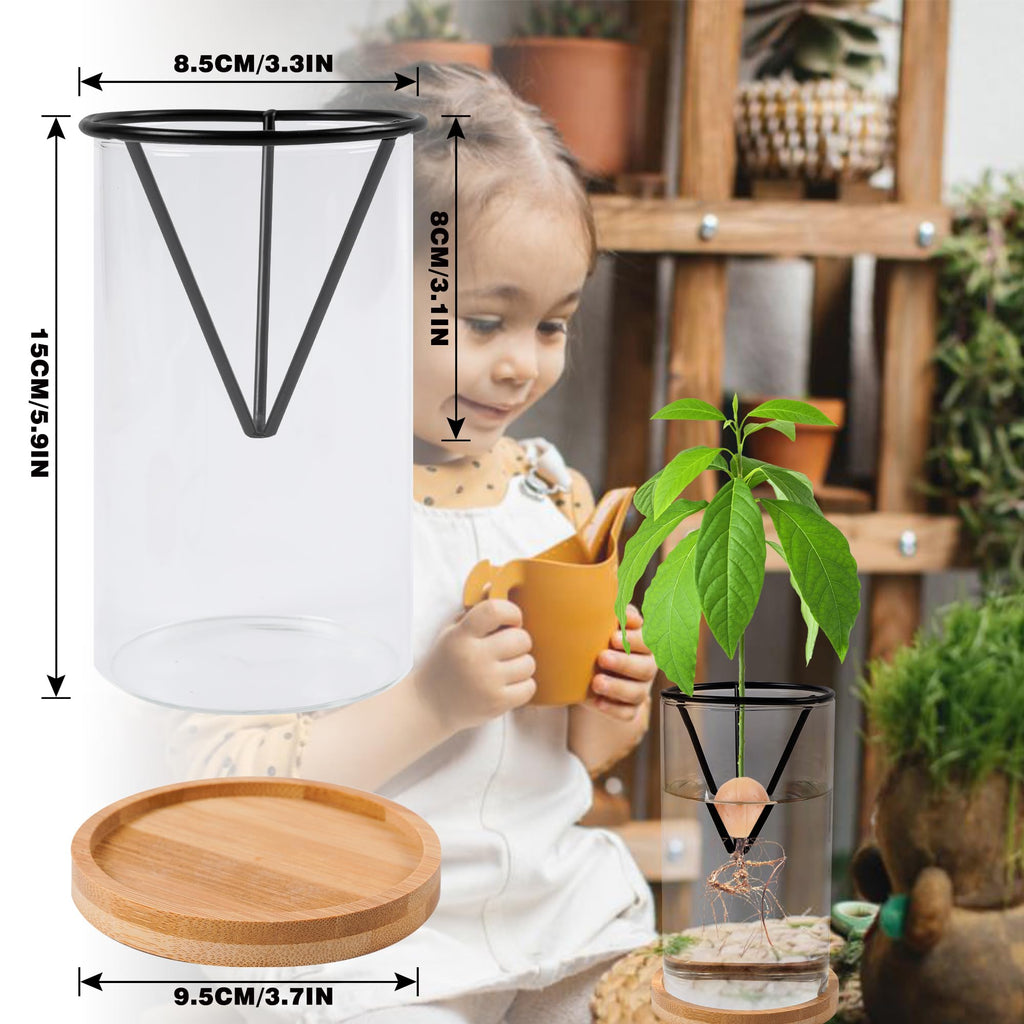 Bylion Avocado Tree Growing Kit - Seed Starter Vase With Wooden Base, Glass Plant Pot for Easy Sprout - Gift for Women, Gardening Lovers, Home Office Table Decoration