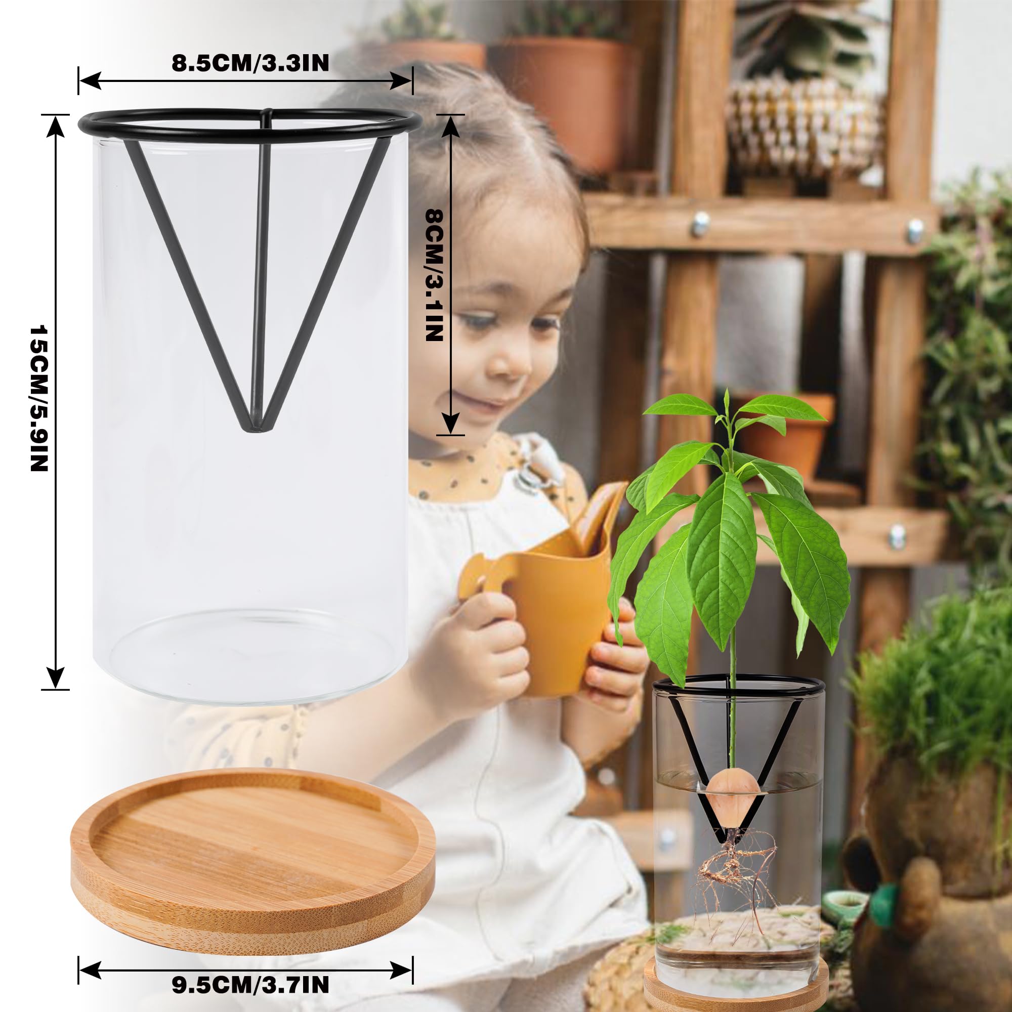 Bylion Avocado Tree Growing Kit - Seed Starter Vase With Wooden Base, Glass Plant Pot for Easy Sprout - Gift for Women, Gardening Lovers, Home Office Table Decoration