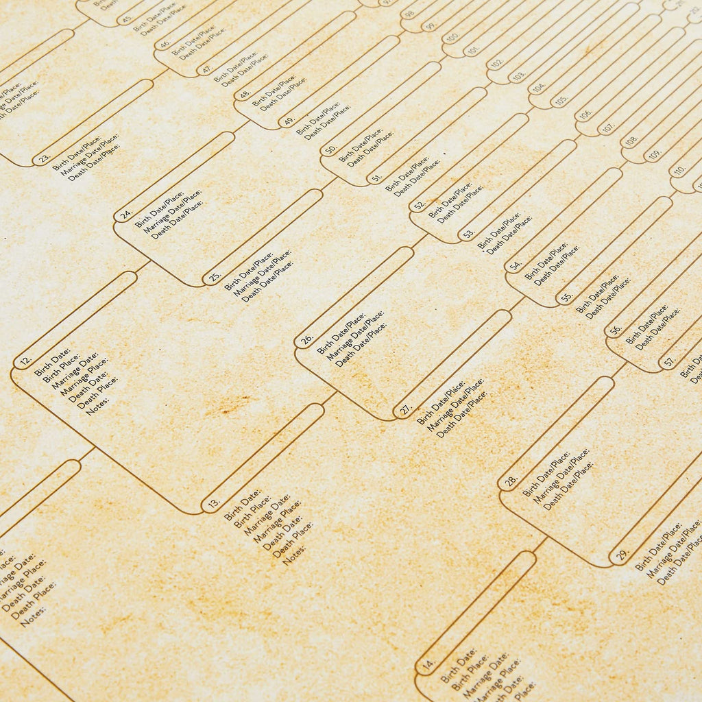 15-Pack Family Tree Charts to Fill In, Blank 8 Generation Genealogy Poster for Family History, Lineage, Reunions, Large Pedigree Chart, 255 Total Name Spaces (17x22 in)