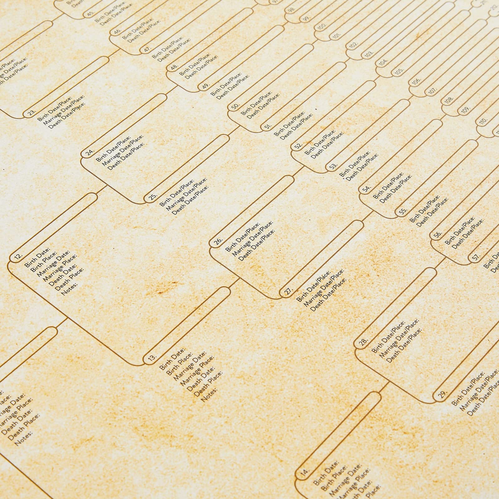 15-Pack Family Tree Charts to Fill In, Blank 8 Generation Genealogy Poster for Family History, Lineage, Reunions, Large Pedigree Chart, 255 Total Name Spaces (17x22 in)