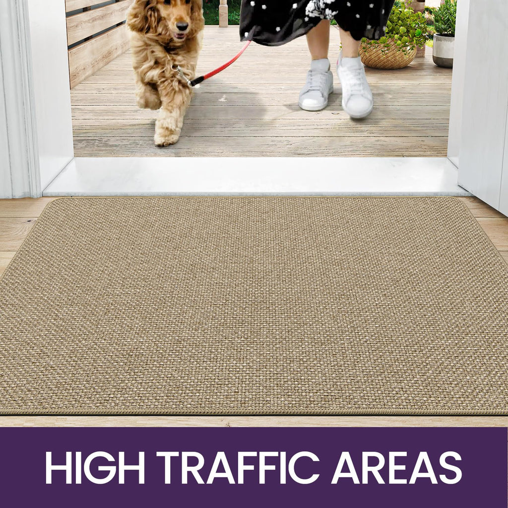 DEXI Door Mat Indoor Entrance, 17x29 Small Ultra Thin Front Entry Rug Floor Carpet, Washable Dirt Trapper Doormat with Non Slip Rubber Waterproof Back for Entryway, Beige