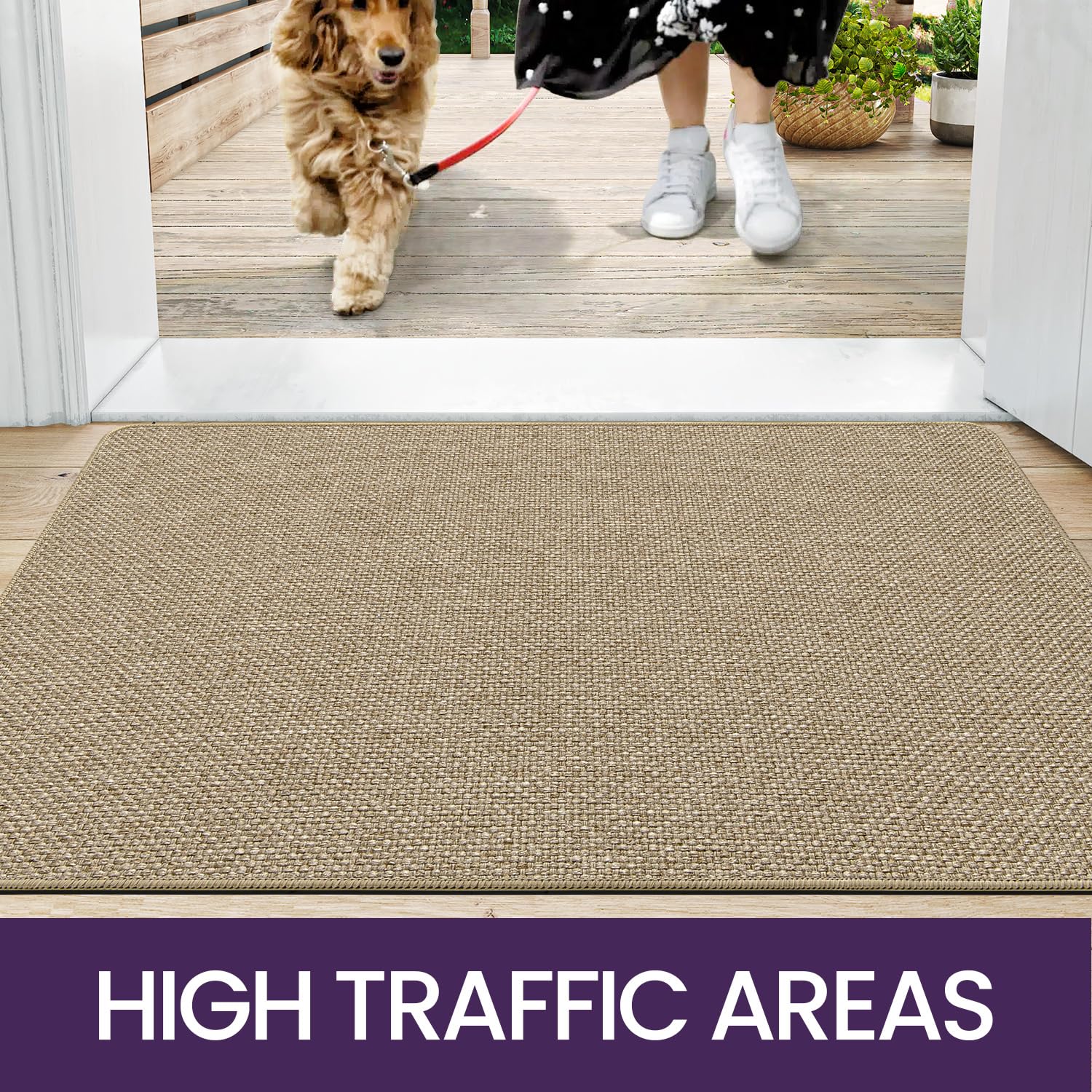 DEXI Door Mat Indoor Entrance, 17x29 Small Ultra Thin Front Entry Rug Floor Carpet, Washable Dirt Trapper Doormat with Non Slip Rubber Waterproof Back for Entryway, Beige