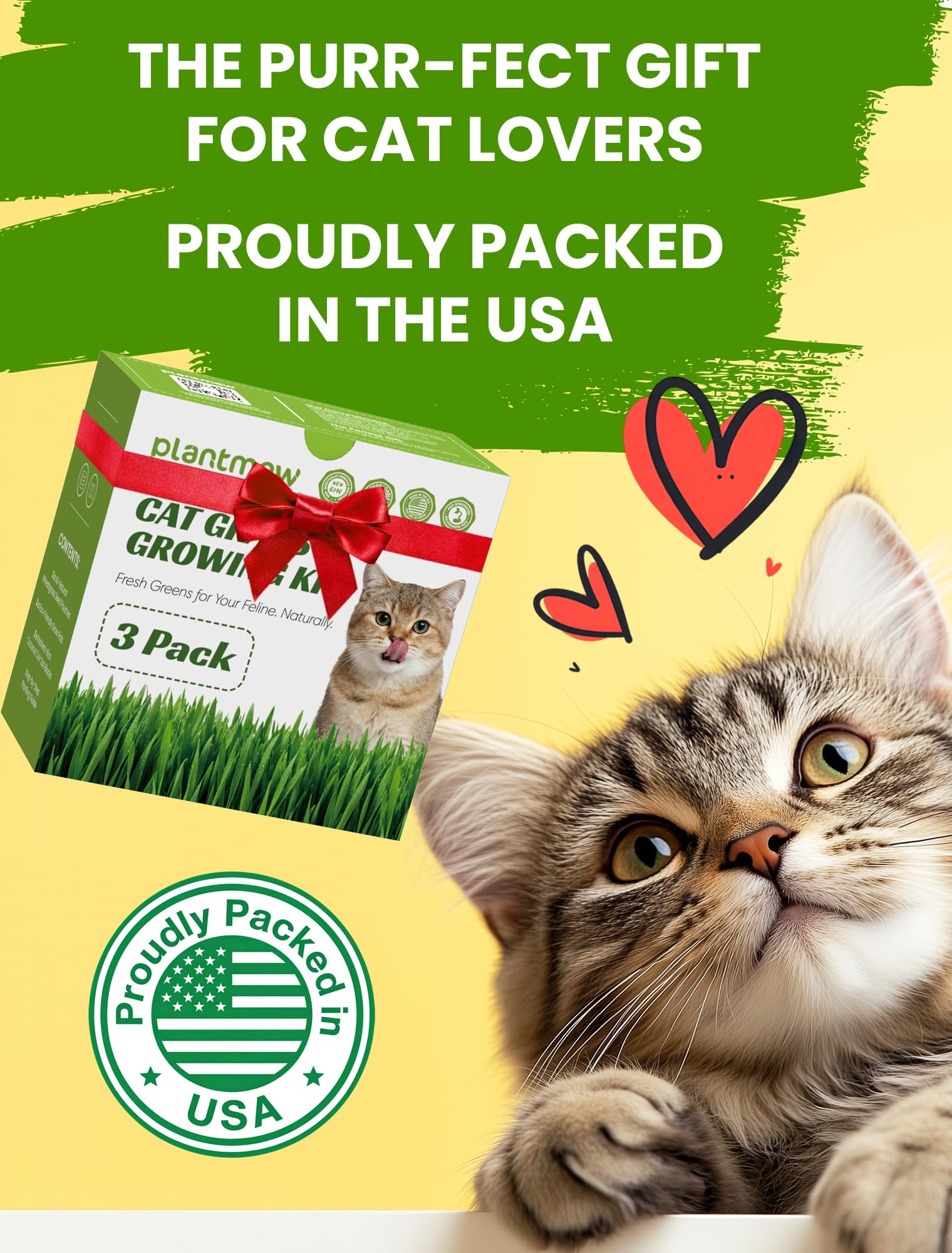 Cat Grass for Indoor Cats - Cat Grass Seeds Kit - Organic Growing Kit with High Germination Organic Wheat Seeds, Planting Tools, and Soil - Natural Hairball Control and Digestion Remedy