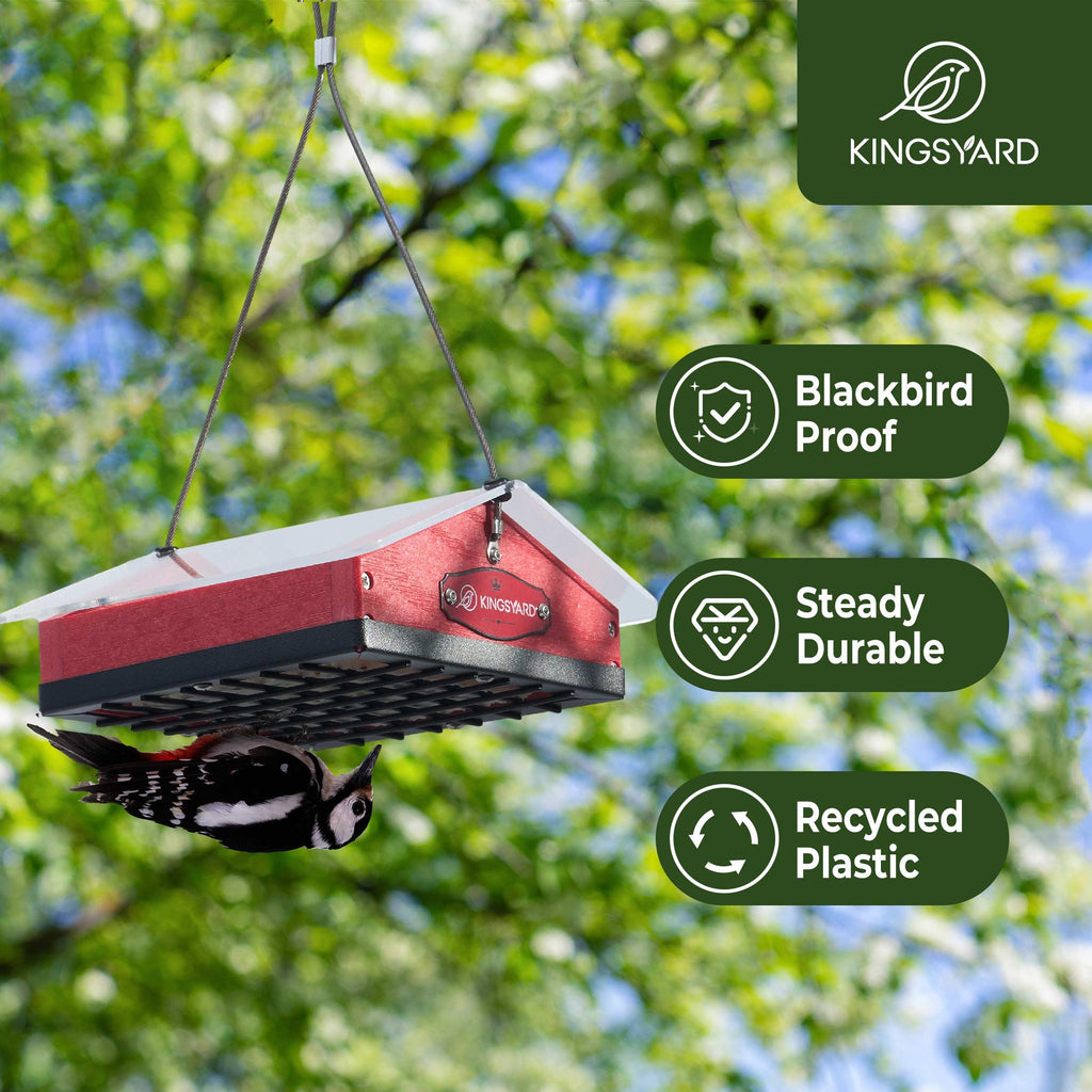 Kingsyard Upgraded Upside Down Suet Feeder for Outside Hanging - Recycled Plastic Wild Bird Feeder with Rainproof Roof for Attracting Woodpeckers Nuthatches Chickadees Finches. Red