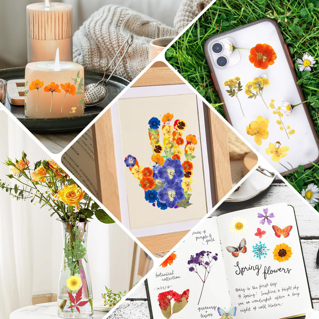 269 PCS Dried Pressed Flowers for Resin Crafts, Bulk Real Nature Pressed Flowers Set Dried Wildflowers Leaves with Butterfly Stickers Tweezers for Jewelry Making DIY Scrapbook Floral Frame Decors