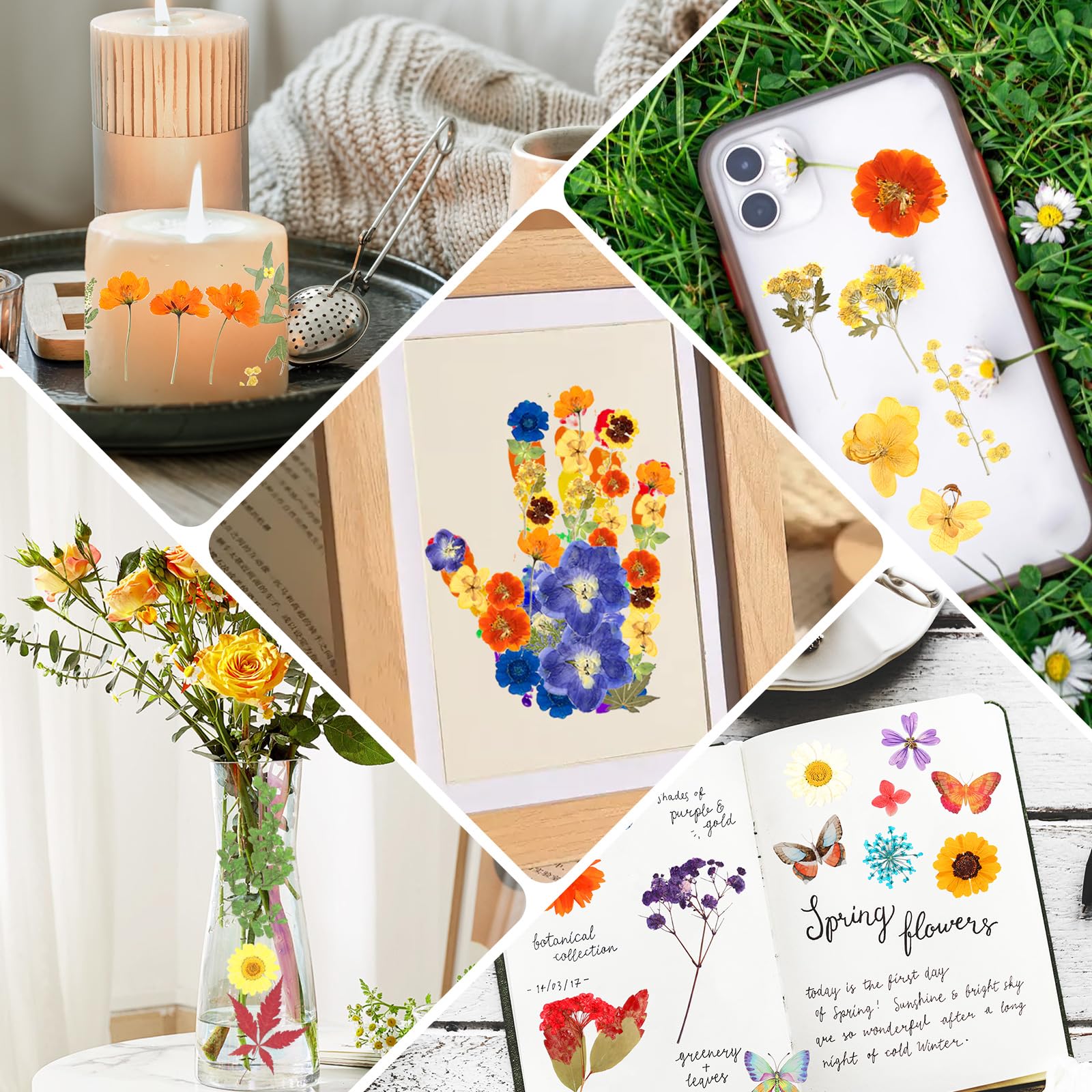 269 PCS Dried Pressed Flowers for Resin Crafts, Bulk Real Nature Pressed Flowers Set Dried Wildflowers Leaves with Butterfly Stickers Tweezers for Jewelry Making DIY Scrapbook Floral Frame Decors
