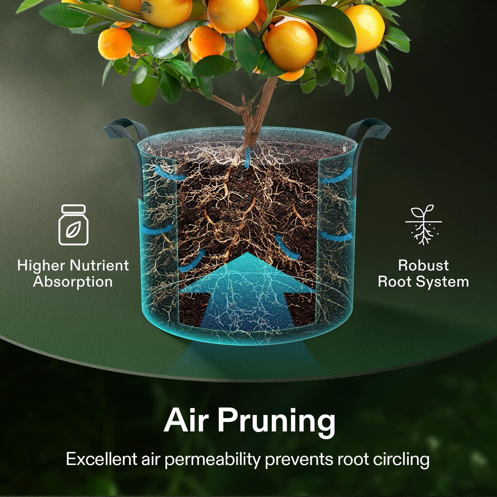 VIVOSUN 5-Pack 3 Gallon Grow Bags, 500G Thick Nonwoven Fabric Pots with Strap Handles, Multi-Purpose Rings, for Low Stress Plant Training Fruits, Vegetables, and Flowers