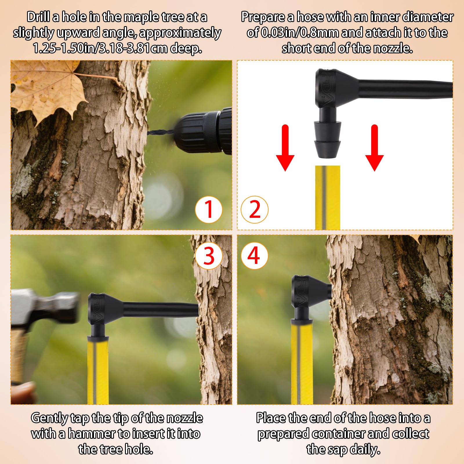 31pcs Maple Syrup Tapping Kit, Birch Tree Taps with Matching Drill Bit for Experts or Beginners Maple Birch Tree Syrup Collection Supplies(Black)