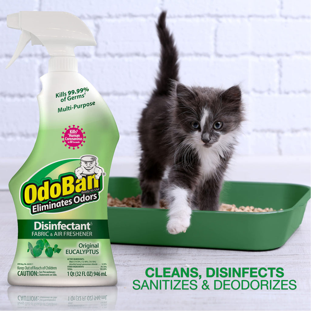 CLEAN CONTROL CORPORATION - Odoban 32OZEuca Cleaner