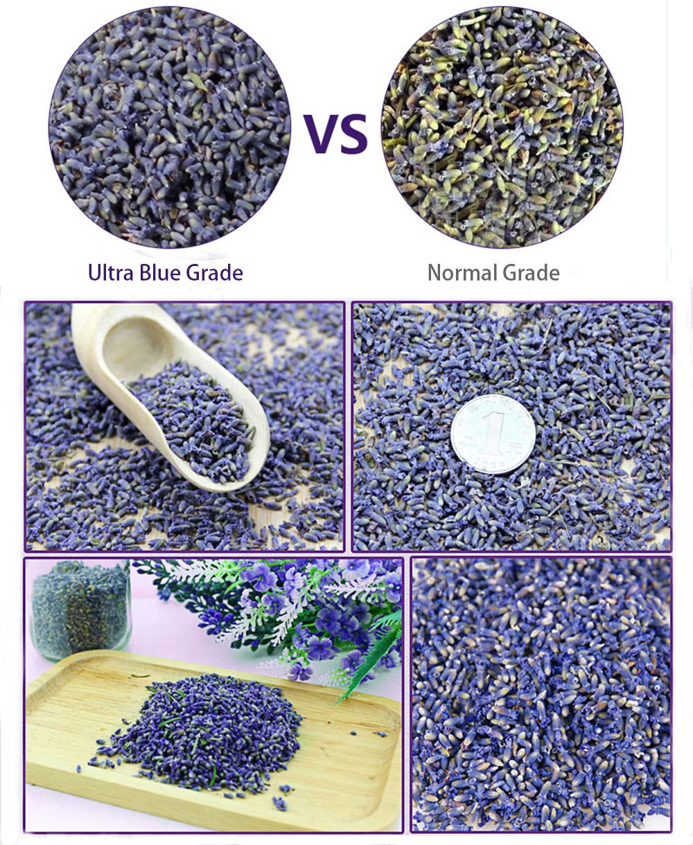 TooGet Fragrant Lavender Buds Organic Dried Flowers Wholesale, Ultra Blue Grade - 225g