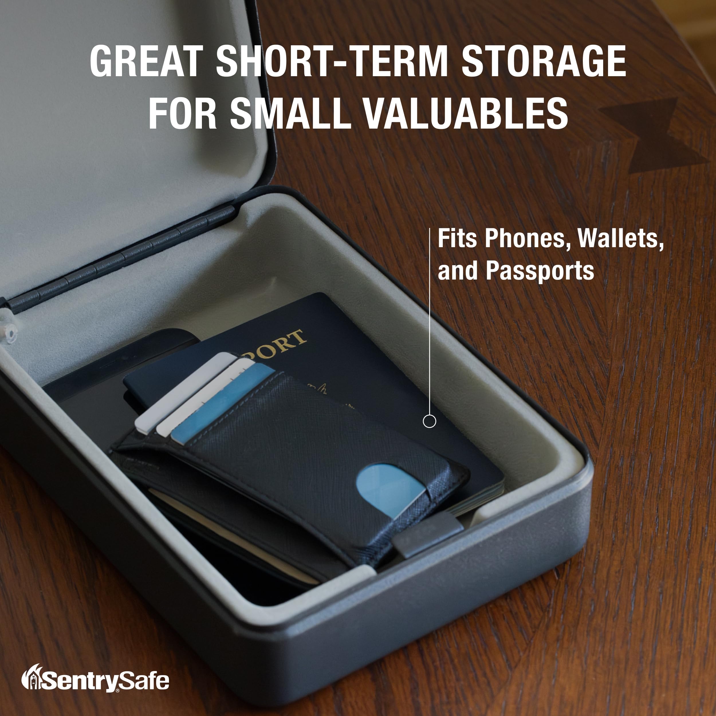 SentrySafe P005K Compact Safe, 0.05 Cubic Foot (Black)