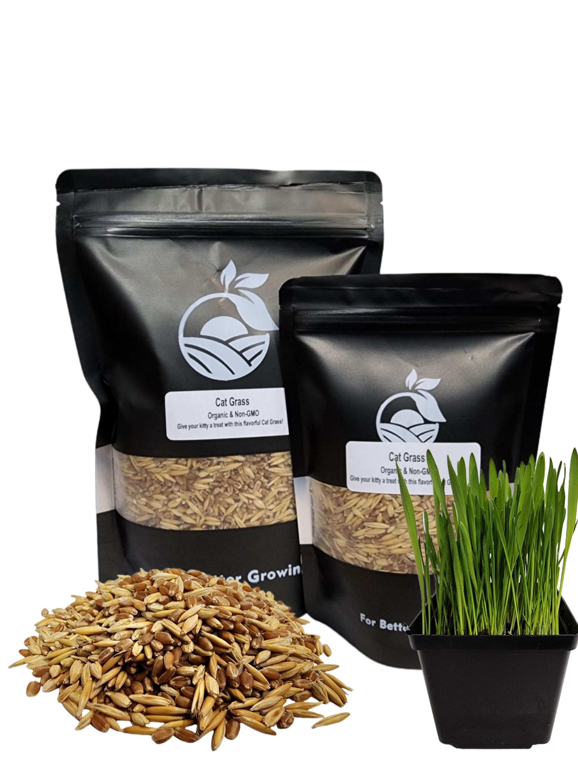 Organic Cat Grass Seeds, Non-GMO, A Mixture of Wheat, Oats, and Barley (800g)