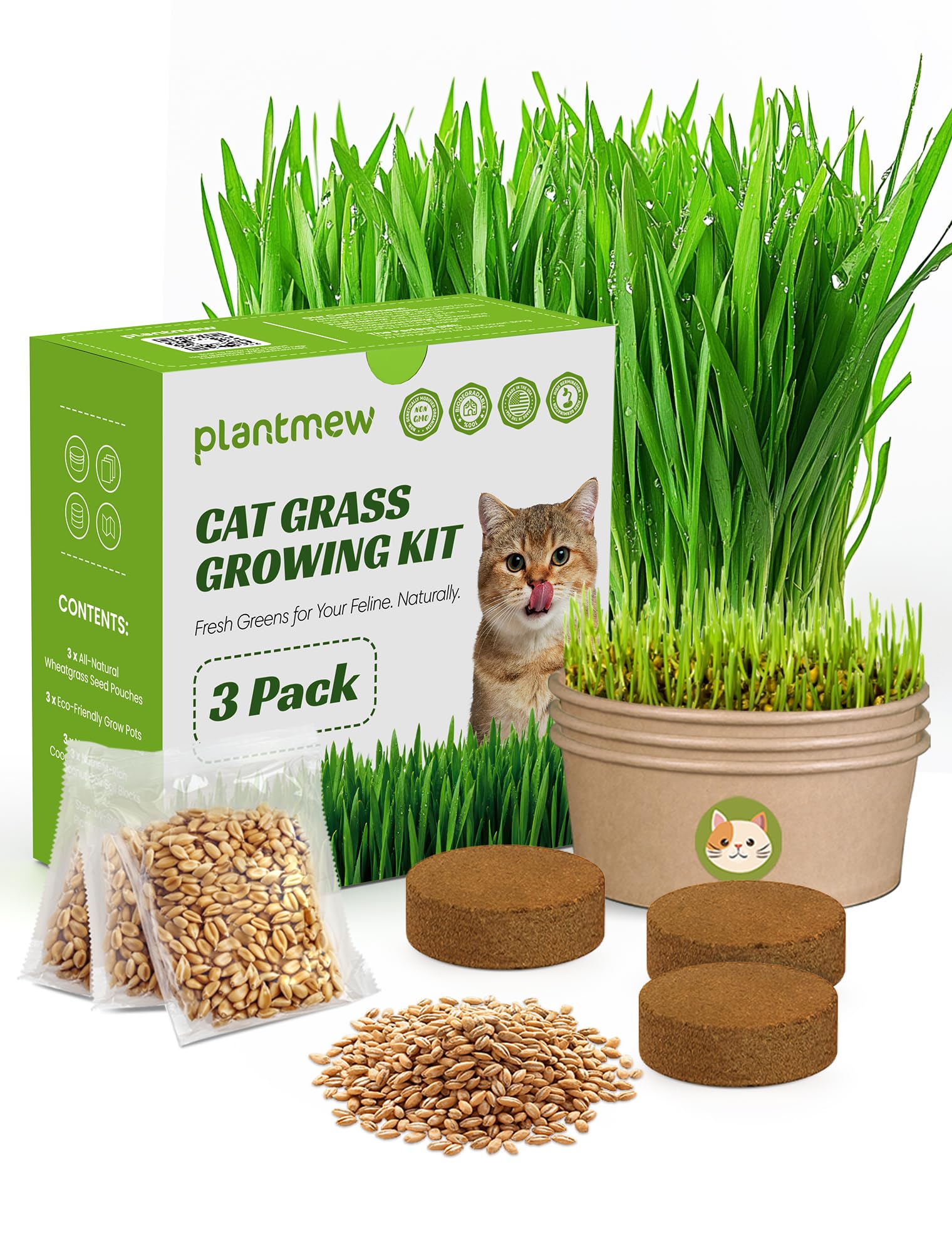 Cat Grass for Indoor Cats - Cat Grass Seeds Kit - Organic Growing Kit with High Germination Organic Wheat Seeds, Planting Tools, and Soil - Natural Hairball Control and Digestion Remedy