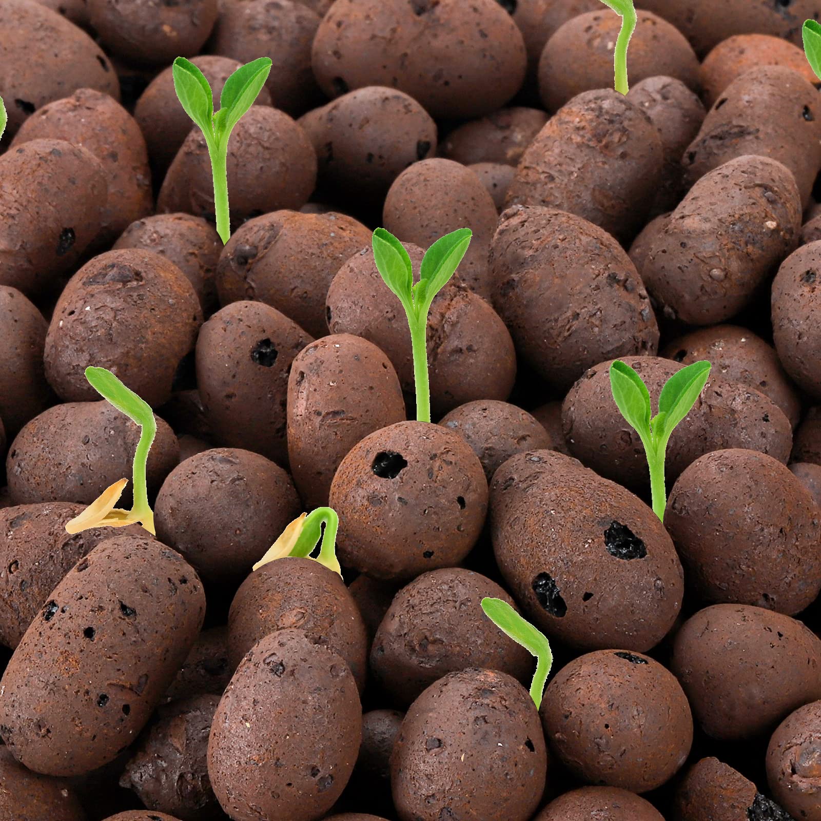 Okllen 6.5 LBS Organic Expanded Clay Pebbles, 11-14mm Hydroponic Drainage Organize Rocks, Ceramsite Grow Media for Potted Plants, Orchids, Aquaponics and Other Gardening Essentials, Leca for Plants