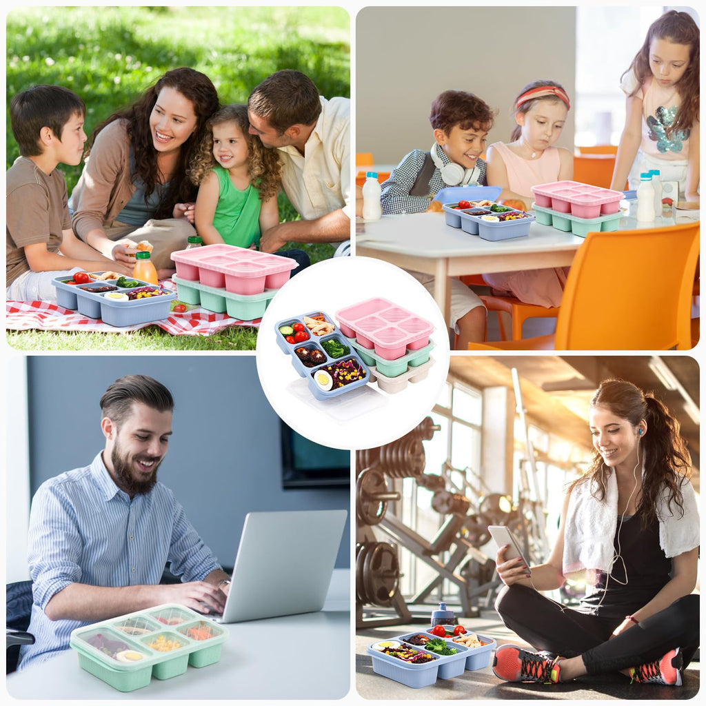 4 Pack Bento Lunch Box - BPA-Free Reusable Bento Box Kids Adult - 5-Compartment Meal Prep Container with Lids - Lunch Box for Kids, Toddler, Adults - Suitable for School, Company, and Travel