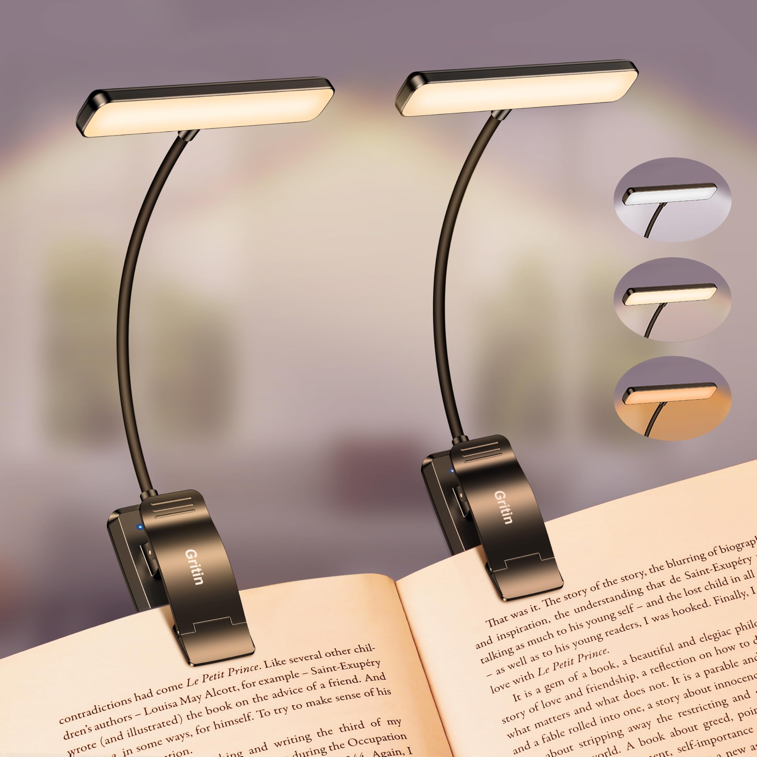 Gritin 19 LED Rechargeable Book Light for Reading in Bed with Memory Function- Eye Caring 3 Color Temperatures,Stepless Dimming Brightness,90 Hrs Runtime Clip on Light for Book Lovers- 2 Pack-Black