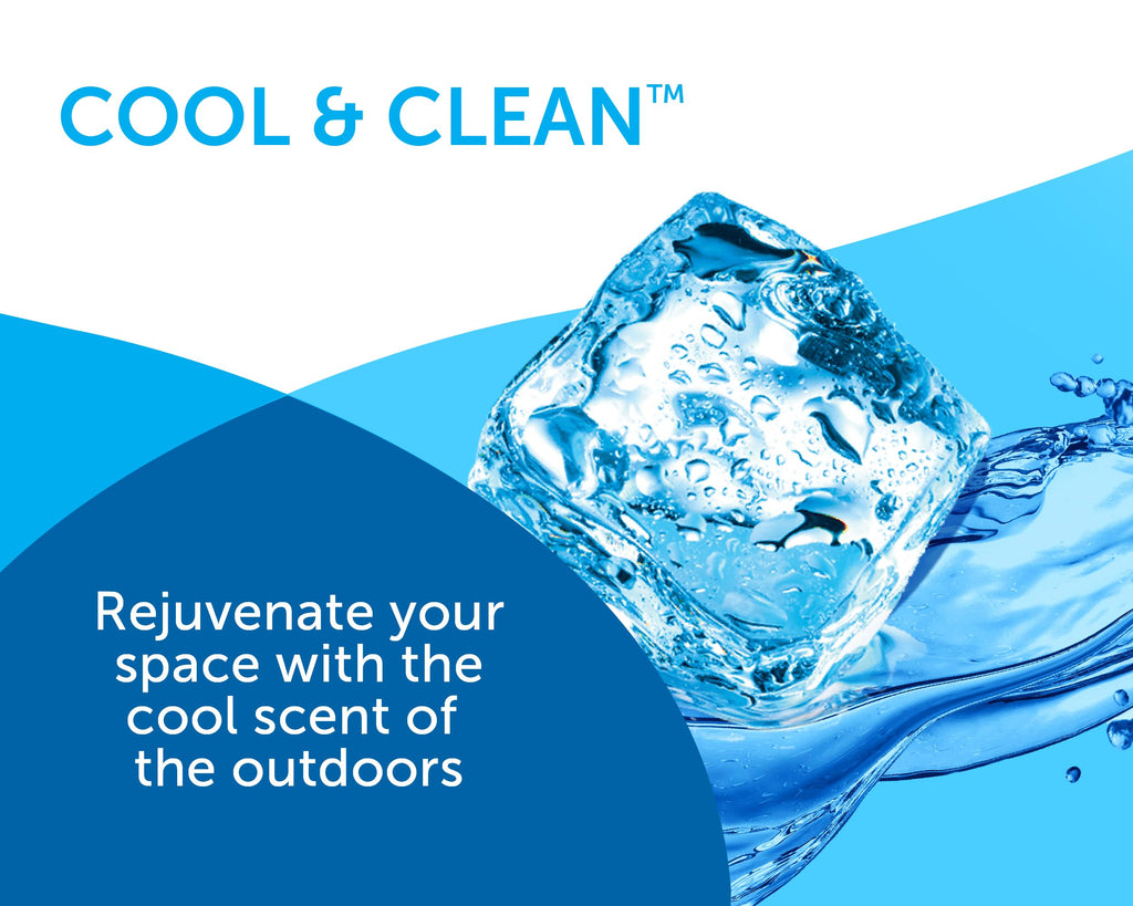 Bright Air, Cool & Clean, 2-in-1 Moisture Absorber & Odor Eliminator, Case of 4, Lasts up to 60 Days Each