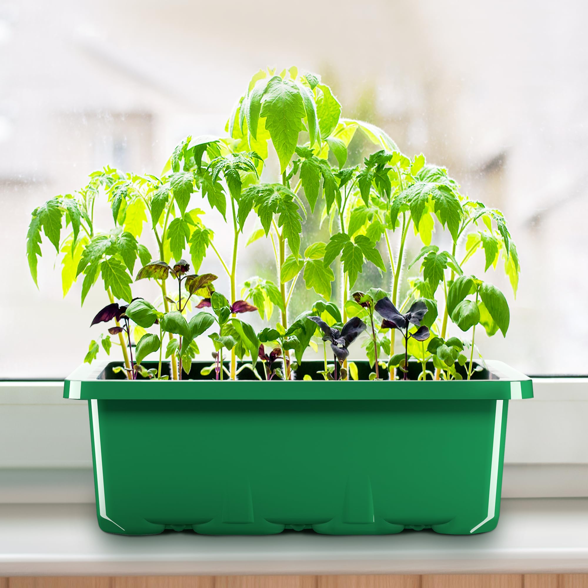 MIXC 10 Packs Seed Starter Tray Seed Starter Kit with Humidity Dome (120 Cells Total Tray) Seed Starting Trays Plant Starter Kit and Base Mini Greenhouse Germination Kit for Seeds Growing Starting