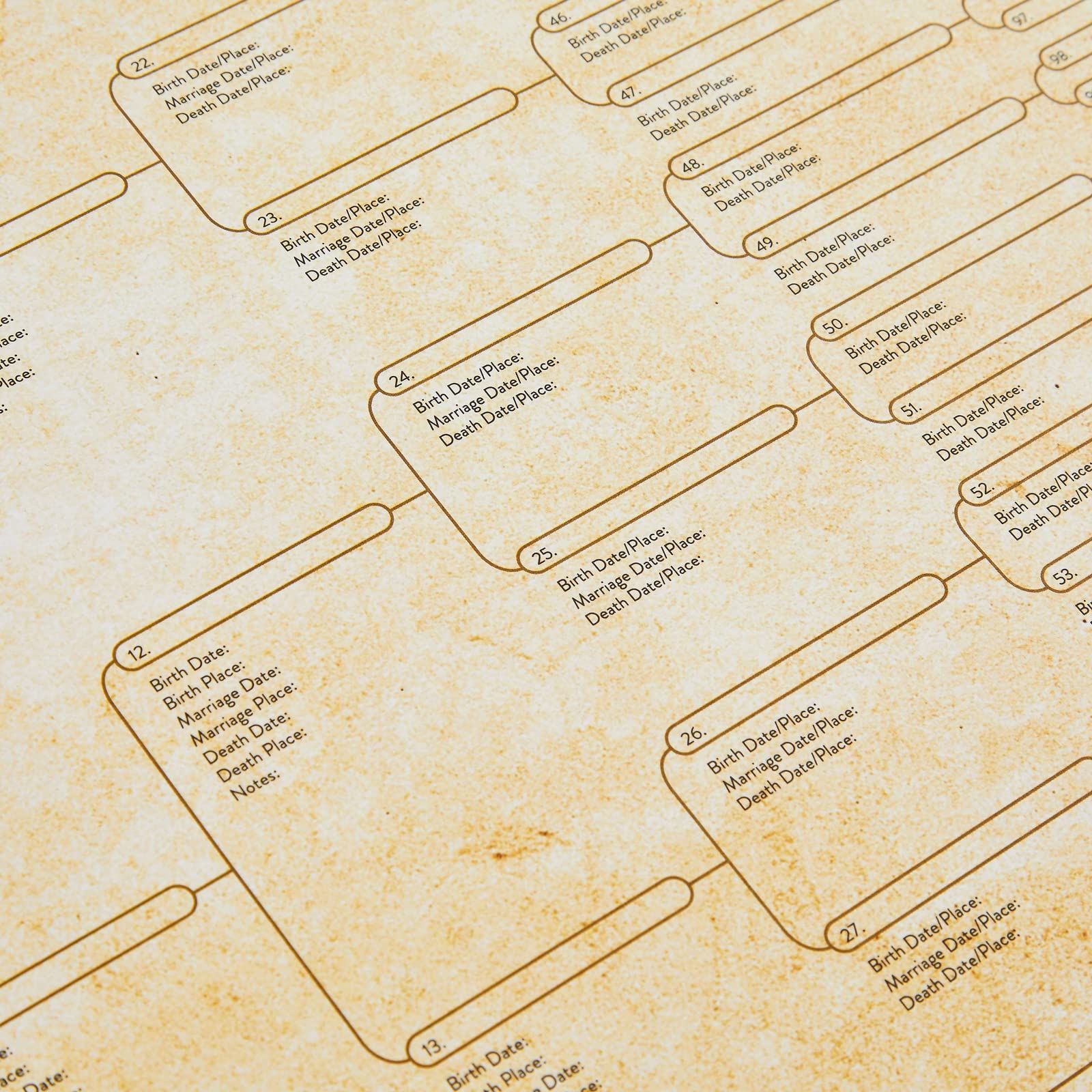 15-Pack Family Tree Charts to Fill In, Blank 8 Generation Genealogy Poster for Family History, Lineage, Reunions, Large Pedigree Chart, 255 Total Name Spaces (17x22 in)