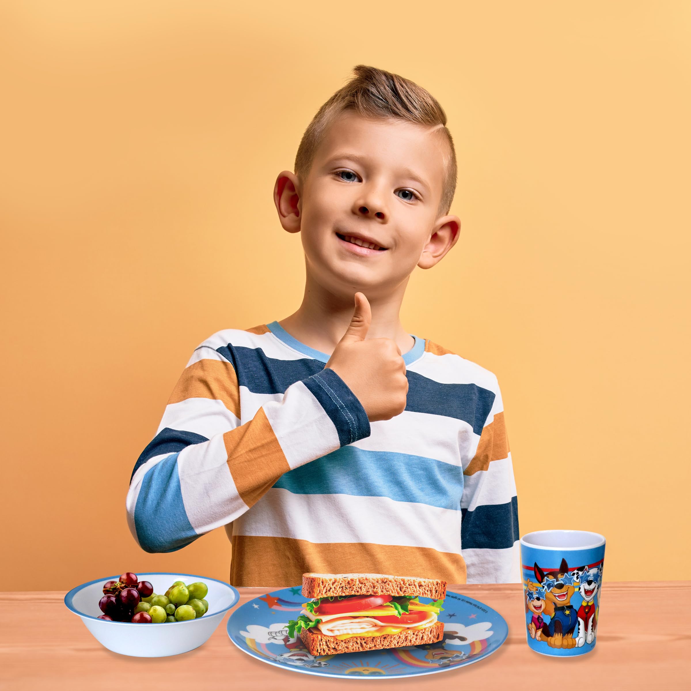 PAW Patrol 3PC Melamine DINNERWARE Set in Gift Box