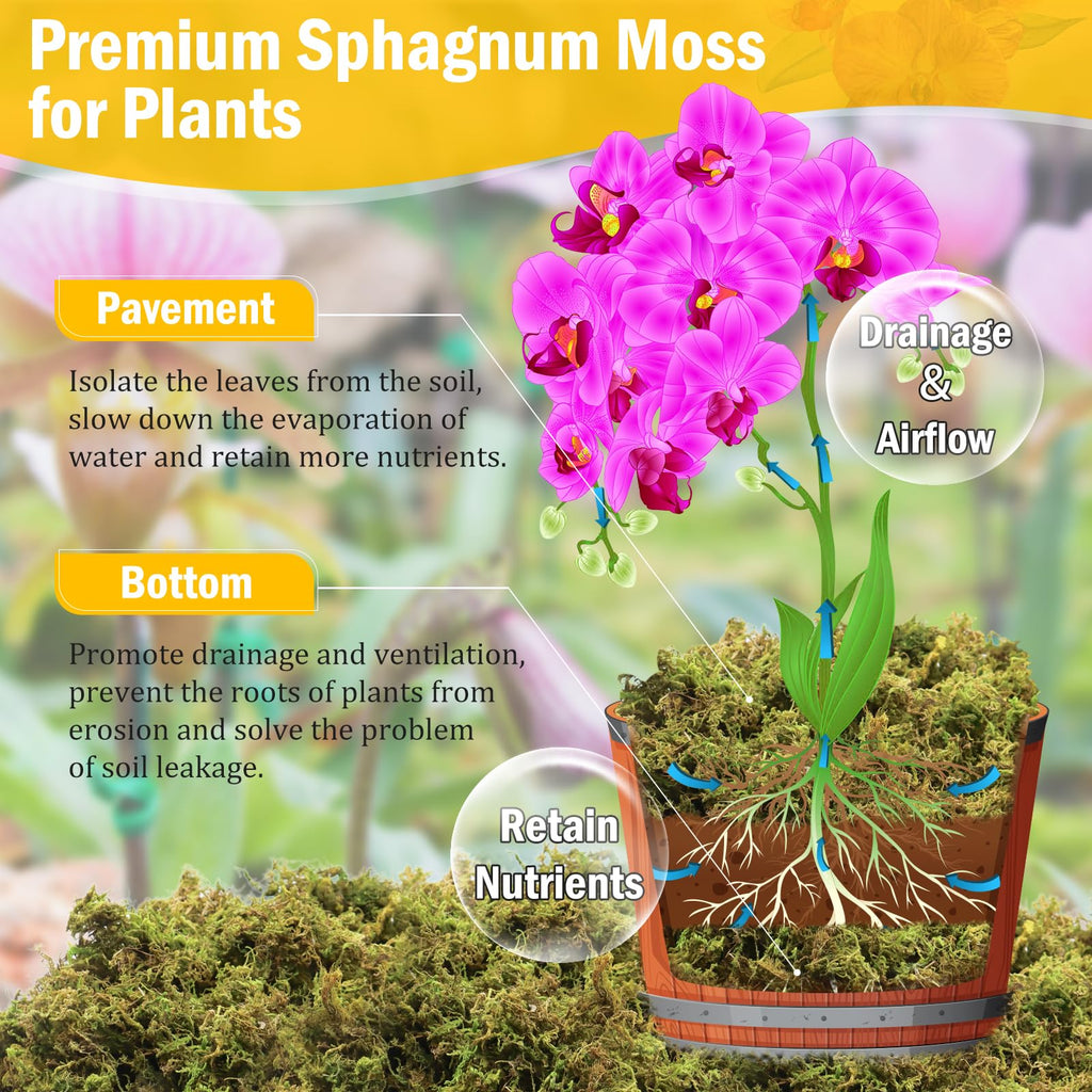 Riare 1.3LBS Premium Sphagnum Moss for Plants- 25QT Natural Dried Plant Moss for Potted Plants, Orchid Moss for Repotting, Soft Green Decorative Moss for Succulents, Reptiles & DIY Crafts