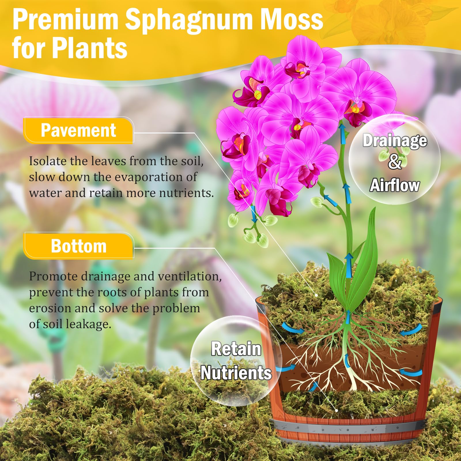 Riare 1.3LBS Premium Sphagnum Moss for Plants- 25QT Natural Dried Plant Moss for Potted Plants, Orchid Moss for Repotting, Soft Green Decorative Moss for Succulents, Reptiles & DIY Crafts