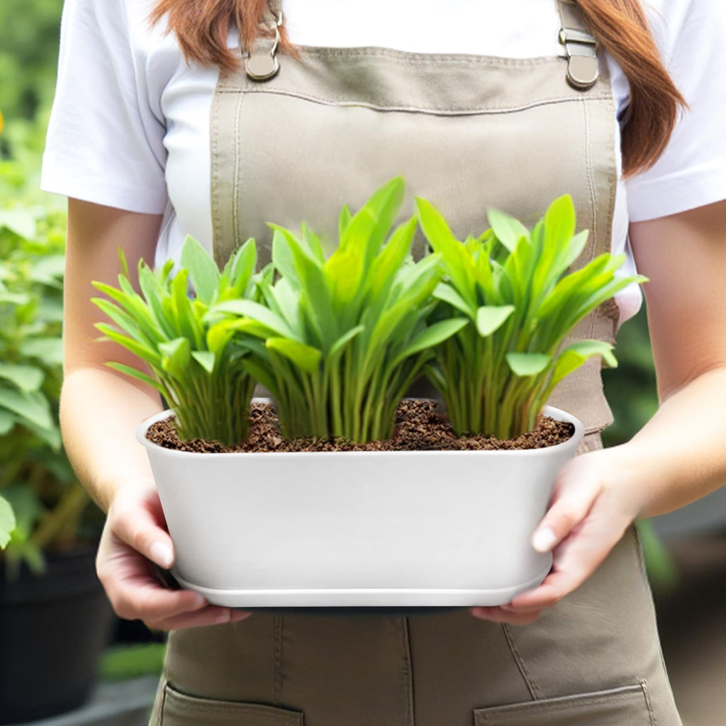 5 Set 8.5x3.5 Inch Plant pots, Rounded Rectangle planters with Multiple Drainage Holes and Trays, Window Box Planter for Indoor Windowsill, Balcony etc.