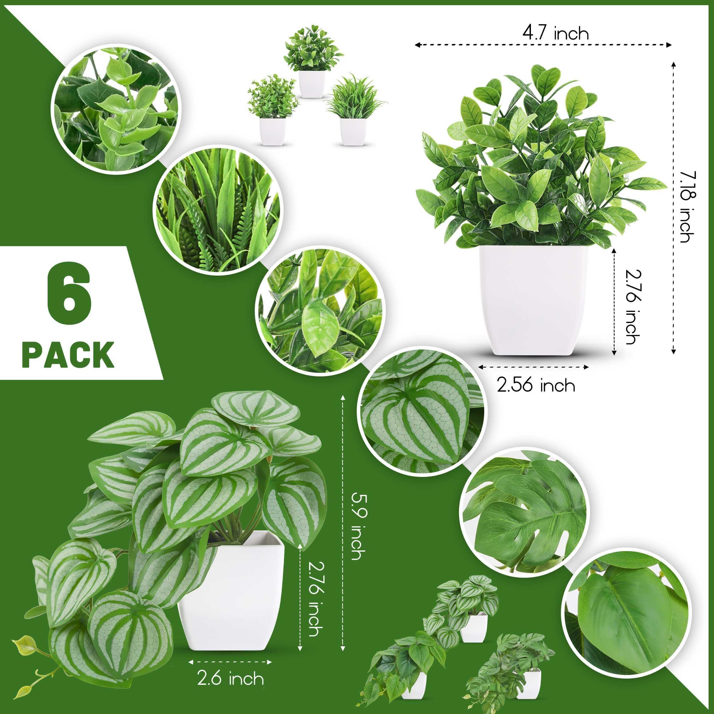 Der Rose 6 Pack Fake Plants Small Artificial Plants for Home Office Desk Accessories Bathroom Aesthetic Farmhouse Room Decor Indoor