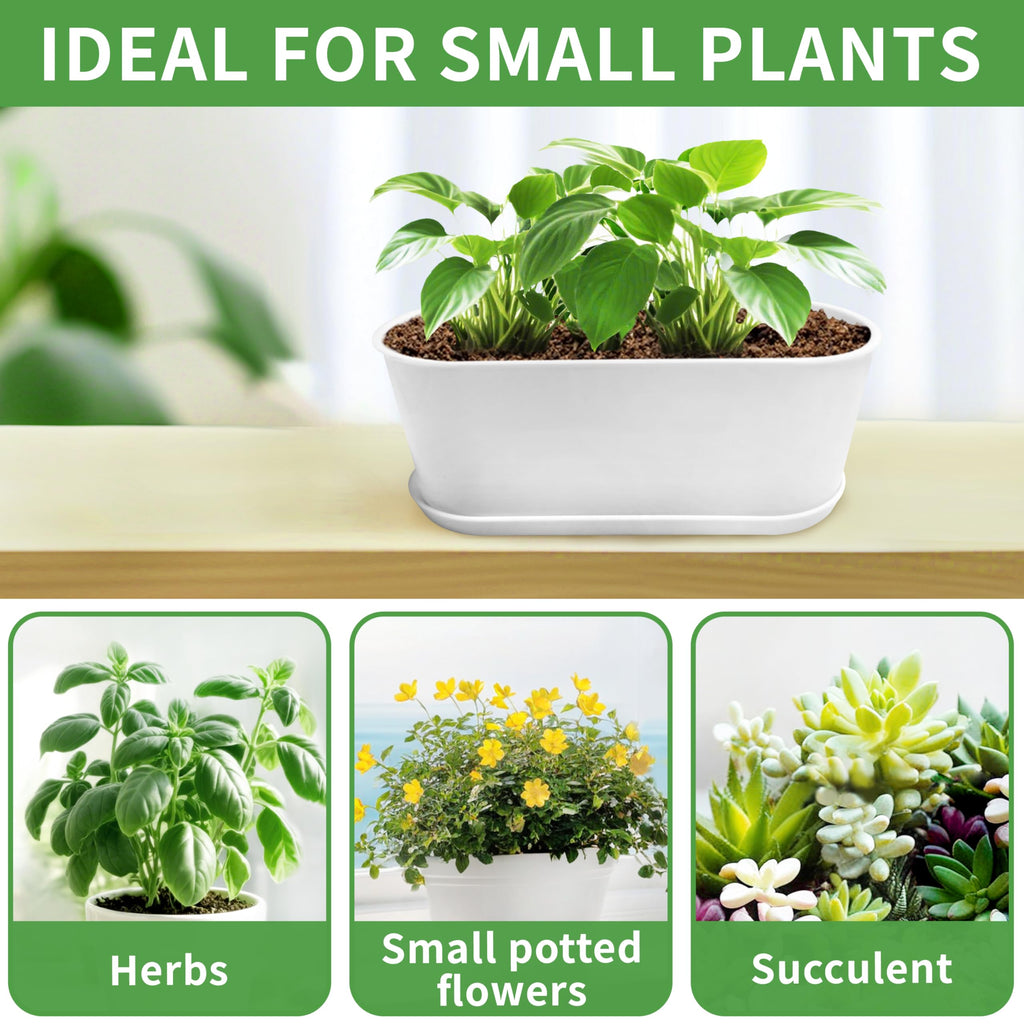 5 Set 8.5x3.5 Inch Plant pots, Rounded Rectangle planters with Multiple Drainage Holes and Trays, Window Box Planter for Indoor Windowsill, Balcony etc.