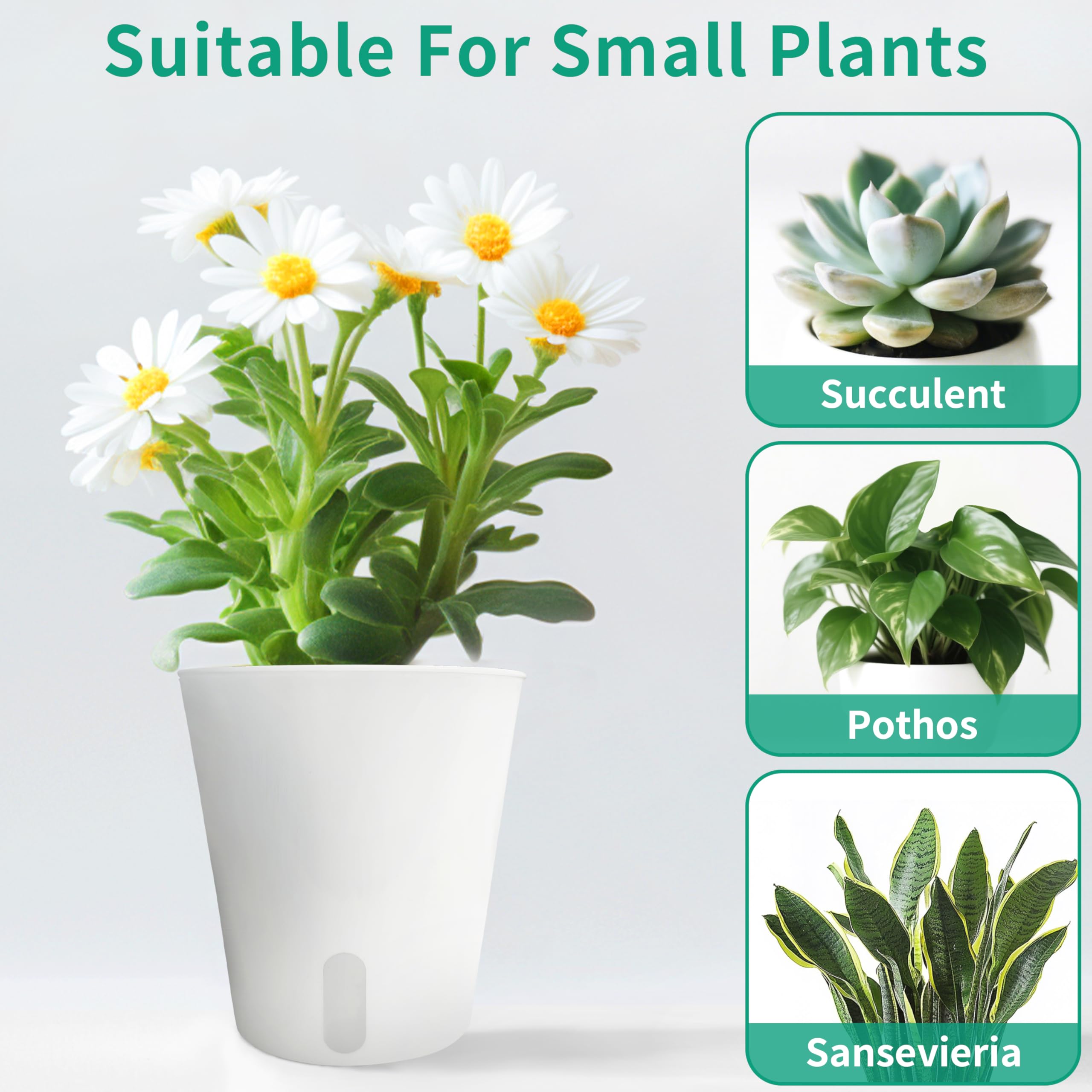 10 Pack 3 inch Self Watering Pots for Indoor Plants, Small Self Watering Plant Pots with Water Level Indicator and Multiple Vents, Self Watering Planters for Indoor Plants, Orchid, Succulent, Herbs