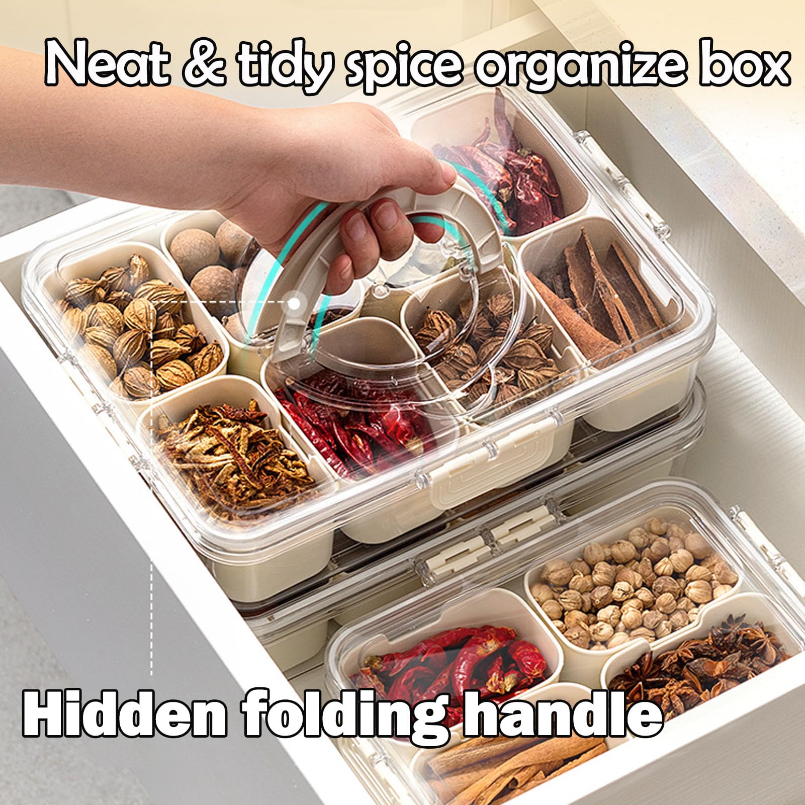 KIGITIONE Divided Snackle Box, 8 Compartments Portable Serving Tray with Lid and Handle, Clear Snack Platter Organizer for Fruits, Snacks, Nuts, Candy, Ideal for Party, Travel & Picnics
