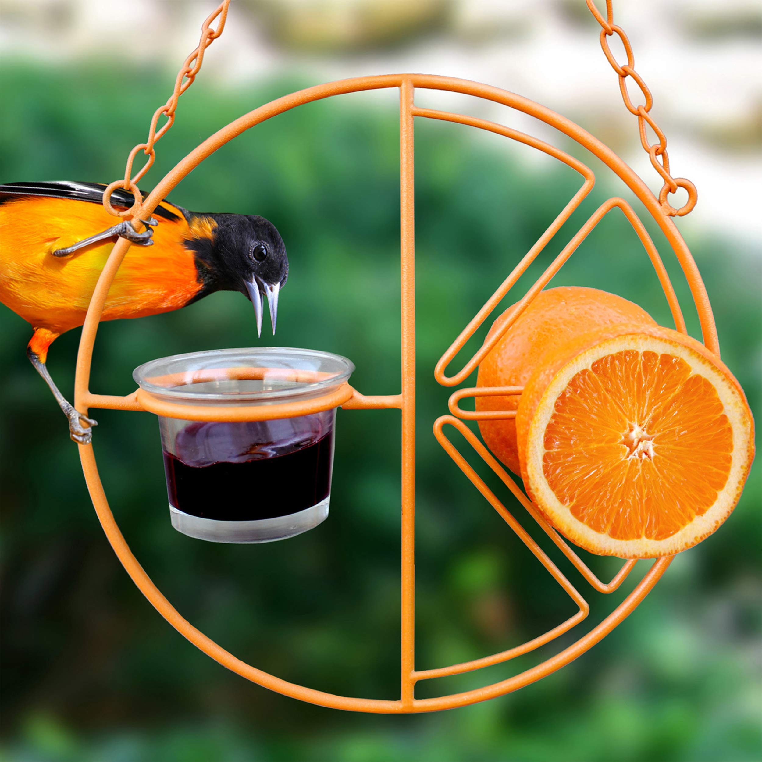 Heath Outdoor Products CF-133 Clementine Oriole Feeder
