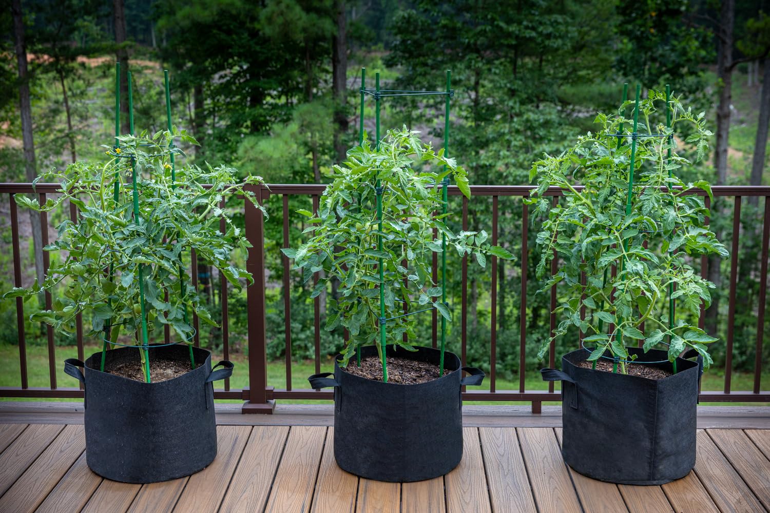 Gardzen 10-Pack 1 Gallon Grow Bags, 300G Thickened Aeration Fabric Pots with Handles, Heavy Duty Cloth Pots for Plants