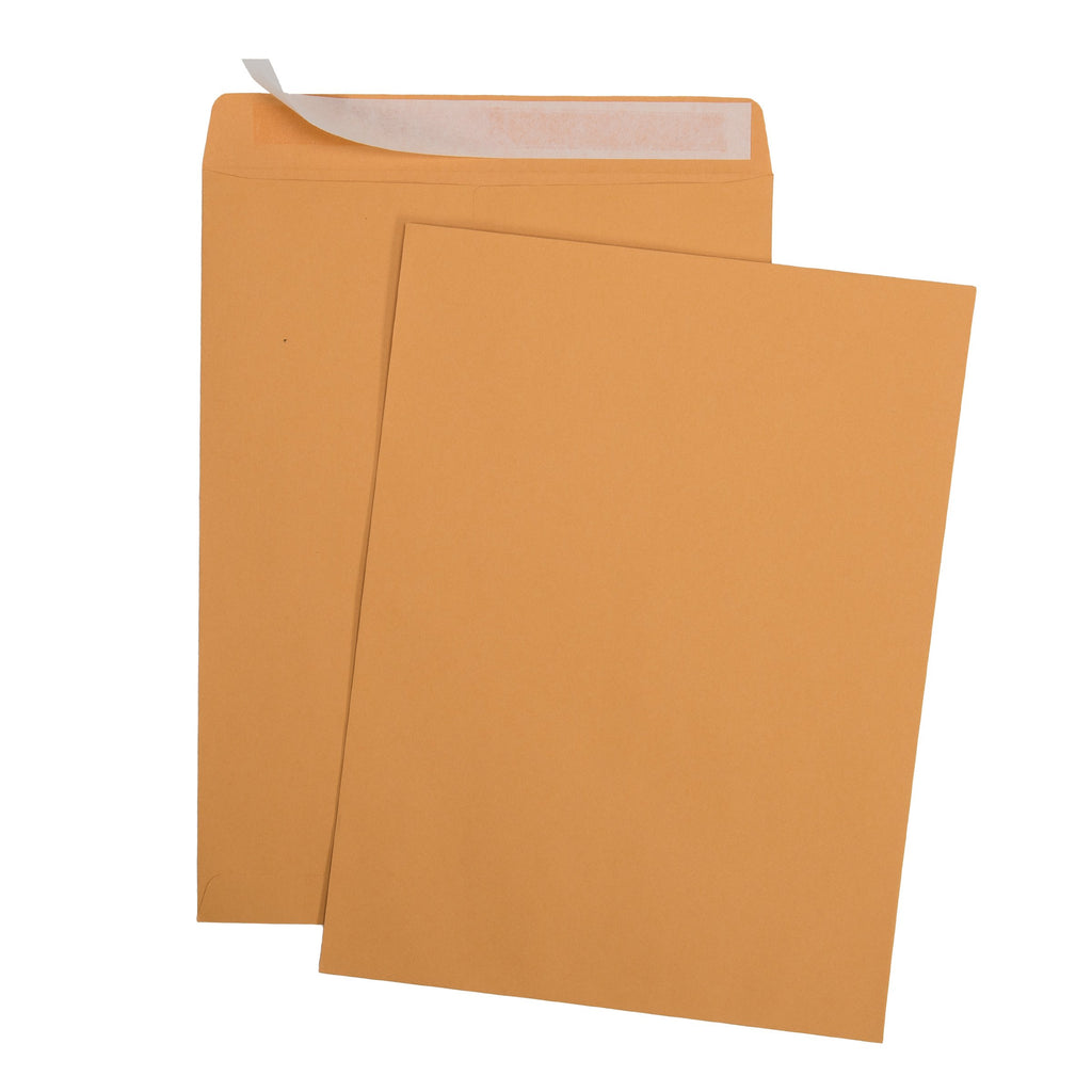 9 X 12 Self-Seal Brown Kraft Catalog Envelopes - 28lb - 100 Count (38300)