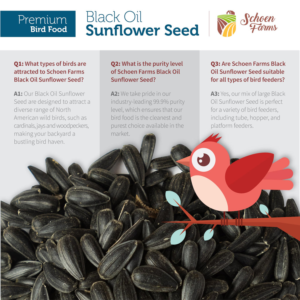 Schoen Farms Black Oil Sunflower Seeds for Birds (6 LBS)