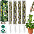 Fabulas 55 Inch Moss Pole Monstera Plant Support, 4 Pack 17 Inch Plant Support Stakes for Indoor Climbing, Stackable Sphagnum Moss Pole Sticks for Garden Potted Planter, Pothos, Philodendron