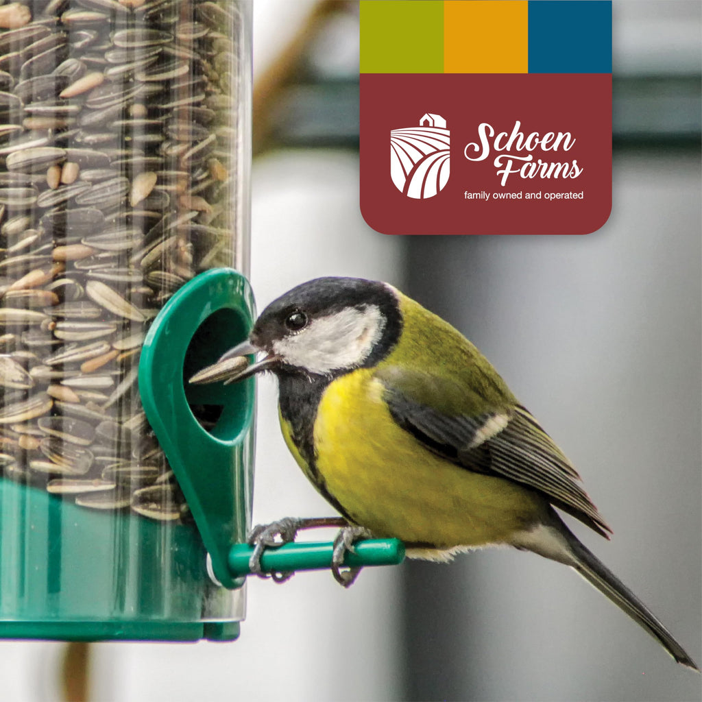 Schoen Farms Wild Bird Seed Food Mix – 2.27 kg Bag – Classic Seed Blend for Finches, Cardinals, Chickadees & Sparrows – Canadian Grown Bird Feed