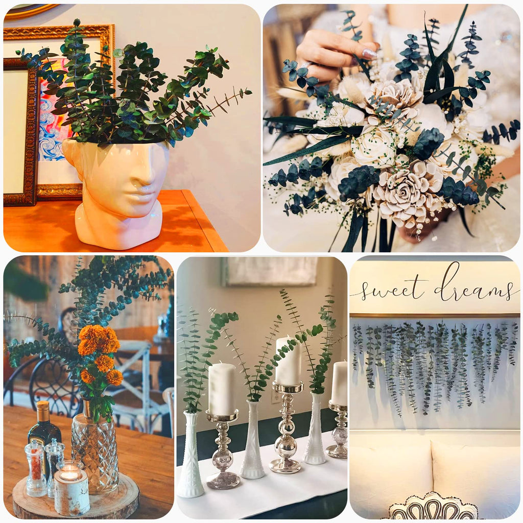 16Pcs-Preserved-Dried-Eucalyptus-Branches,17" Pure Natural Fresh Eucalyptus Plant for Shower, Real Eucalyptus Bunch for Vase Filler, Present for Mother, Dried Flowers Arrangement, Floral Home Decor