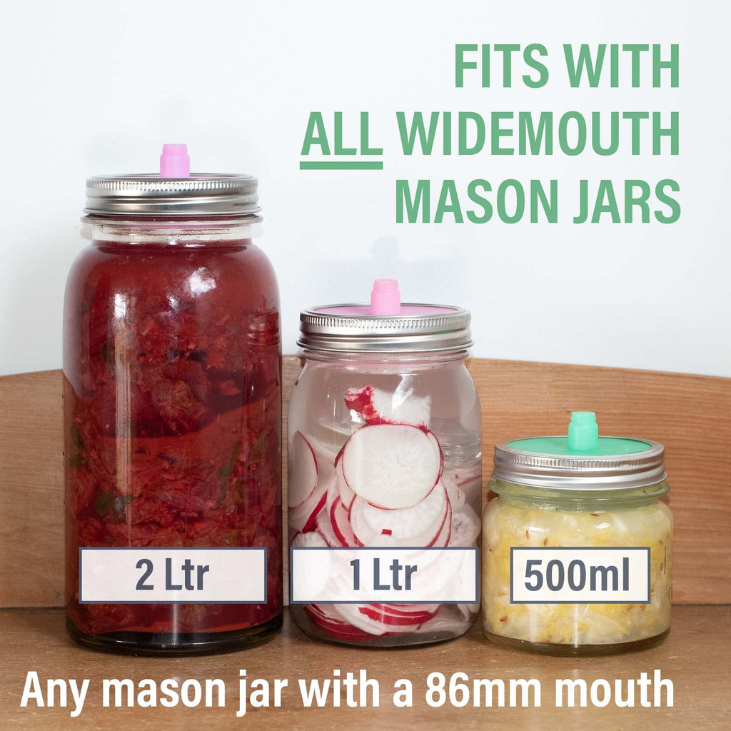 Glass Fermentation Weights for Fermenting with Easy Lift Handles - Boxed Set of 4 Clear