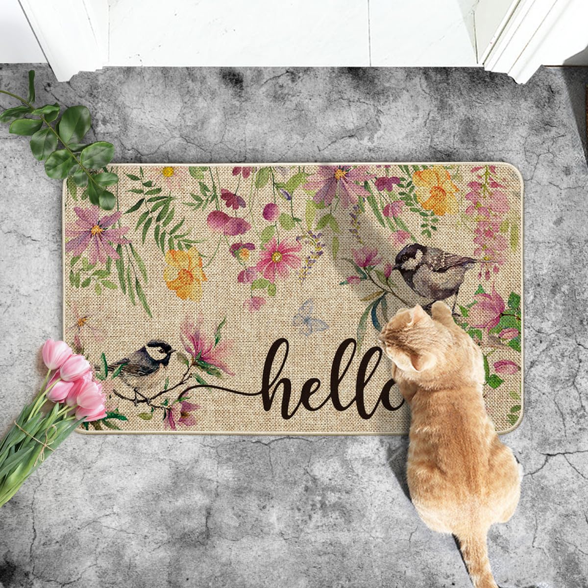 Artoid Mode Bird Flowers Hello Spring Doormat, Home Summer Decor Low-Profile Switch Rug Door Mat Floor Mat for Indoor Outdoor 17x29 Inch