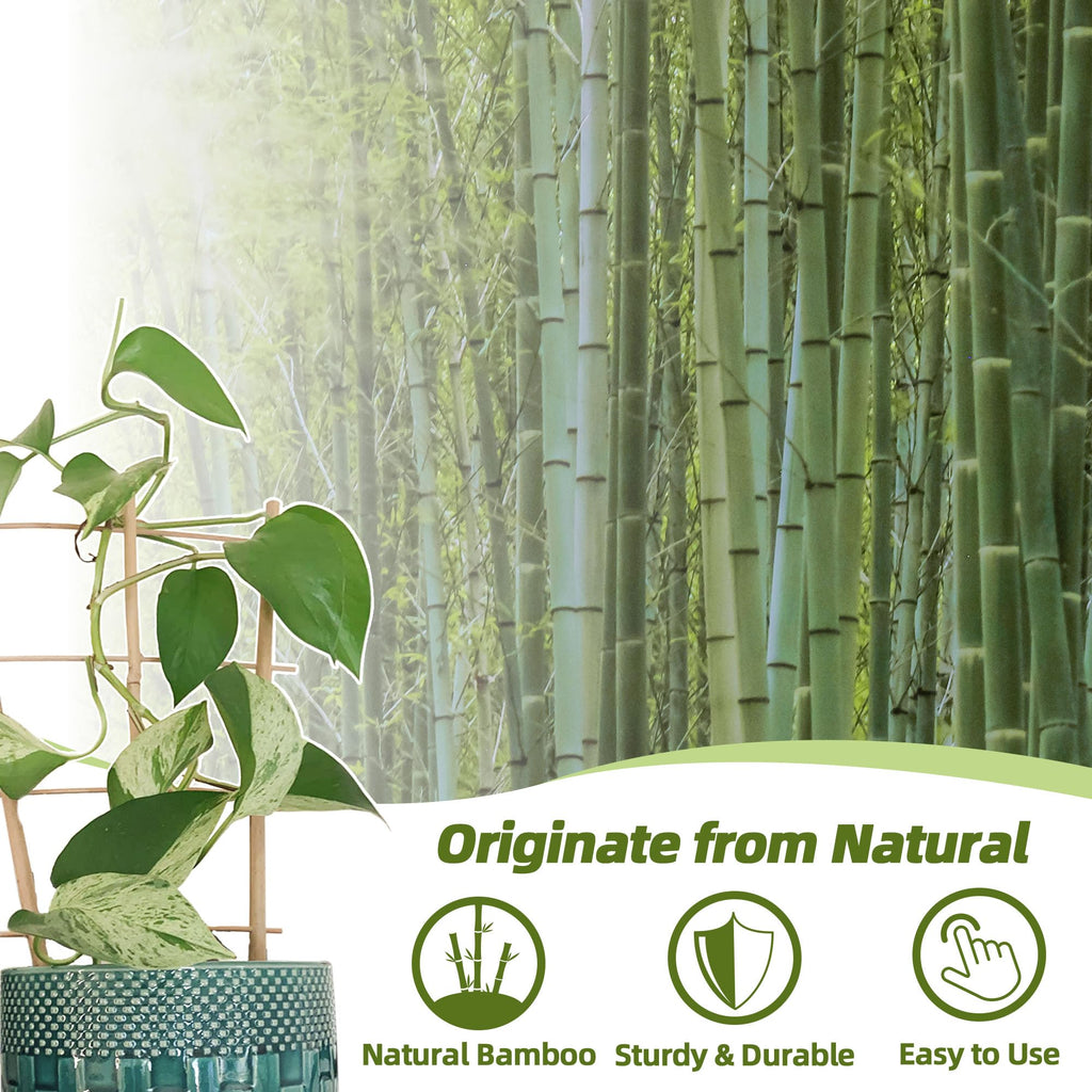 10 Pack Bamboo Trellis for Climbing Plants, 16 Inch Garden Ladder Trellis for Potted Plants Indoor, Fan-Shaped Small Plant Support Trellis for Houseplants Ivy Hoya Vine Monstera