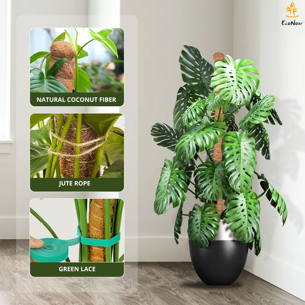 EcoNour 48 inches Moss Pole - Monstera Plant Support Sticks - Coco Coir Plant Support Stakes for Small Potted Climbing Plants - Elevate Indoor Potted Plants to Grow Upwards