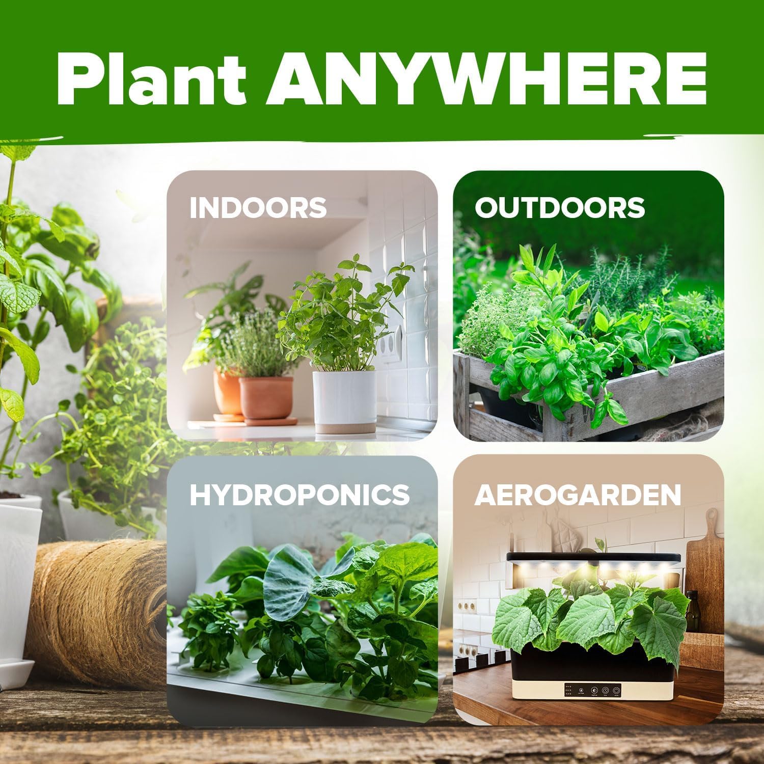 10 Culinary Herb Seed Vault - Heirloom and Non GMO - 3000+ Seeds for Planting for Outdoor or Indoor Herb Garden, Basil, Cilantro, Parsley, Chives, Thyme, Oregano, Dill, Marjoram, Mint, Tarragon