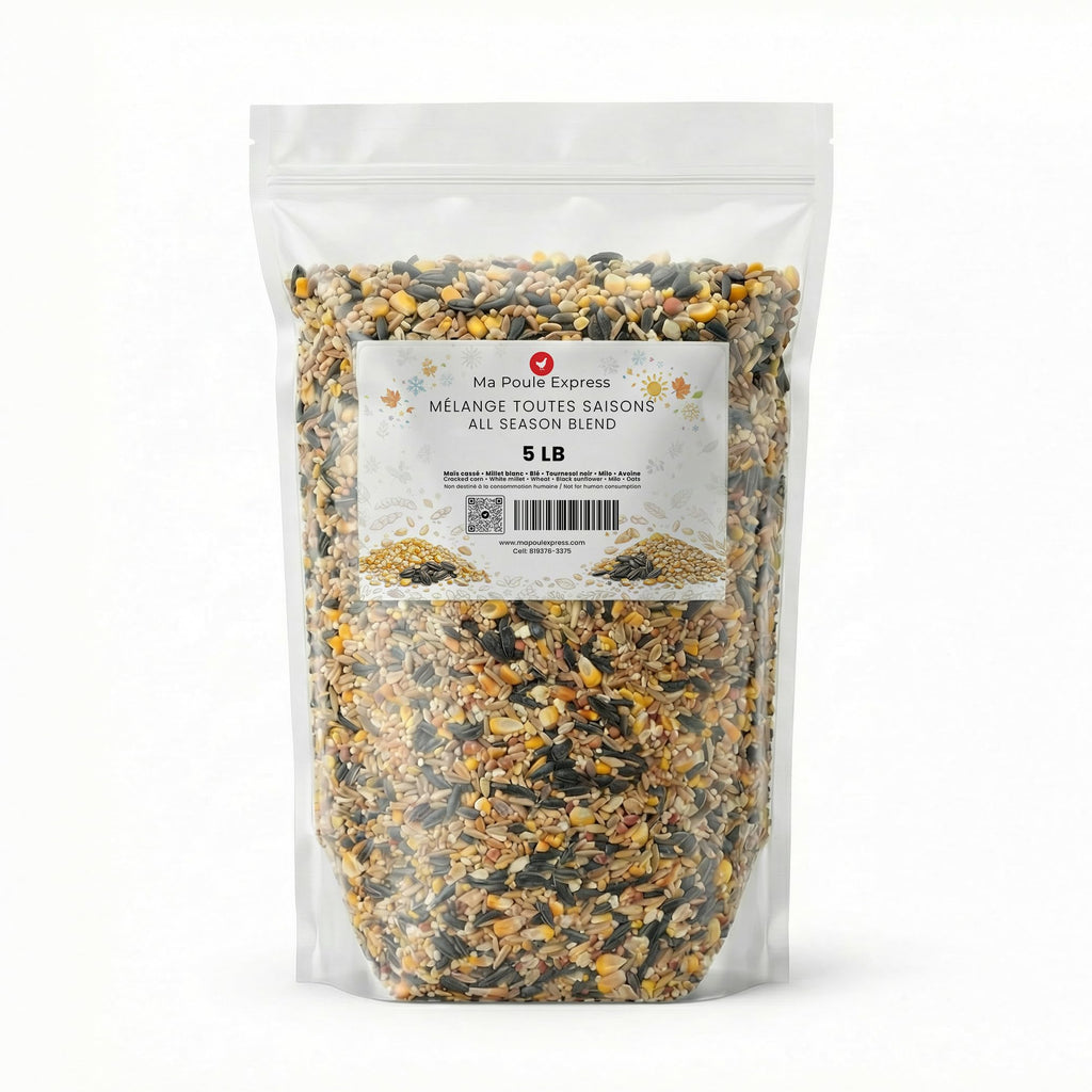 Ma Poule Express - Proudly Canadian Bird Feed – 2.27 kg | Wild Bird Seed Mix | Premium Bird Food for Feeders | Sunflower, Millet, Corn | Attracts Cardinals, Finches & More ... |
