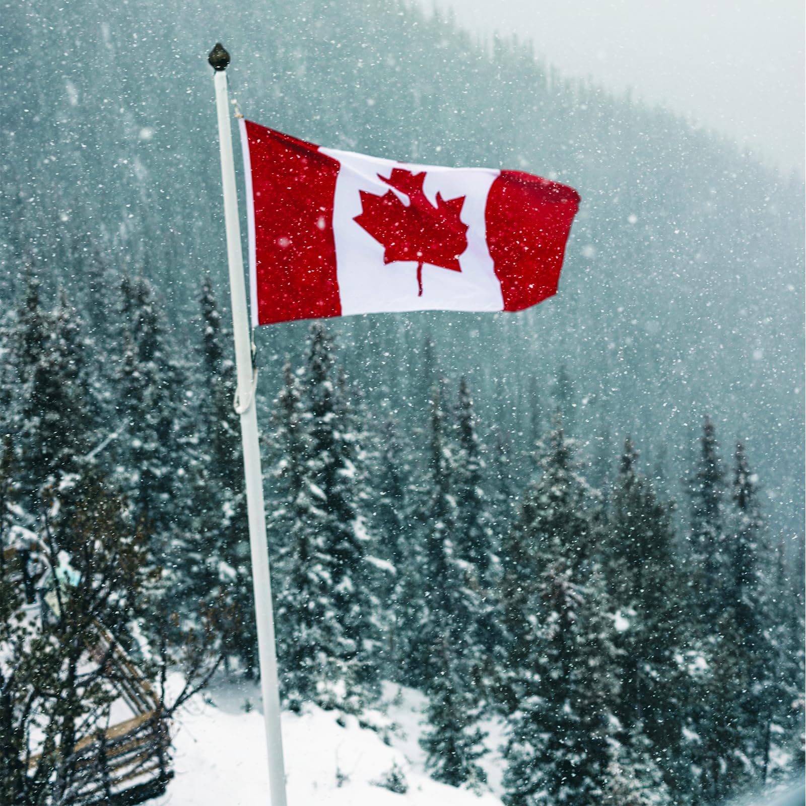 Canada Flag 2x3 FT - Made of 210D Heavy Duty Oxford Nylon Canadian Flag, Embroidered Maple Leaf with Sewn Stripes and Brass Grommets for Outdoors Indoors Decoration