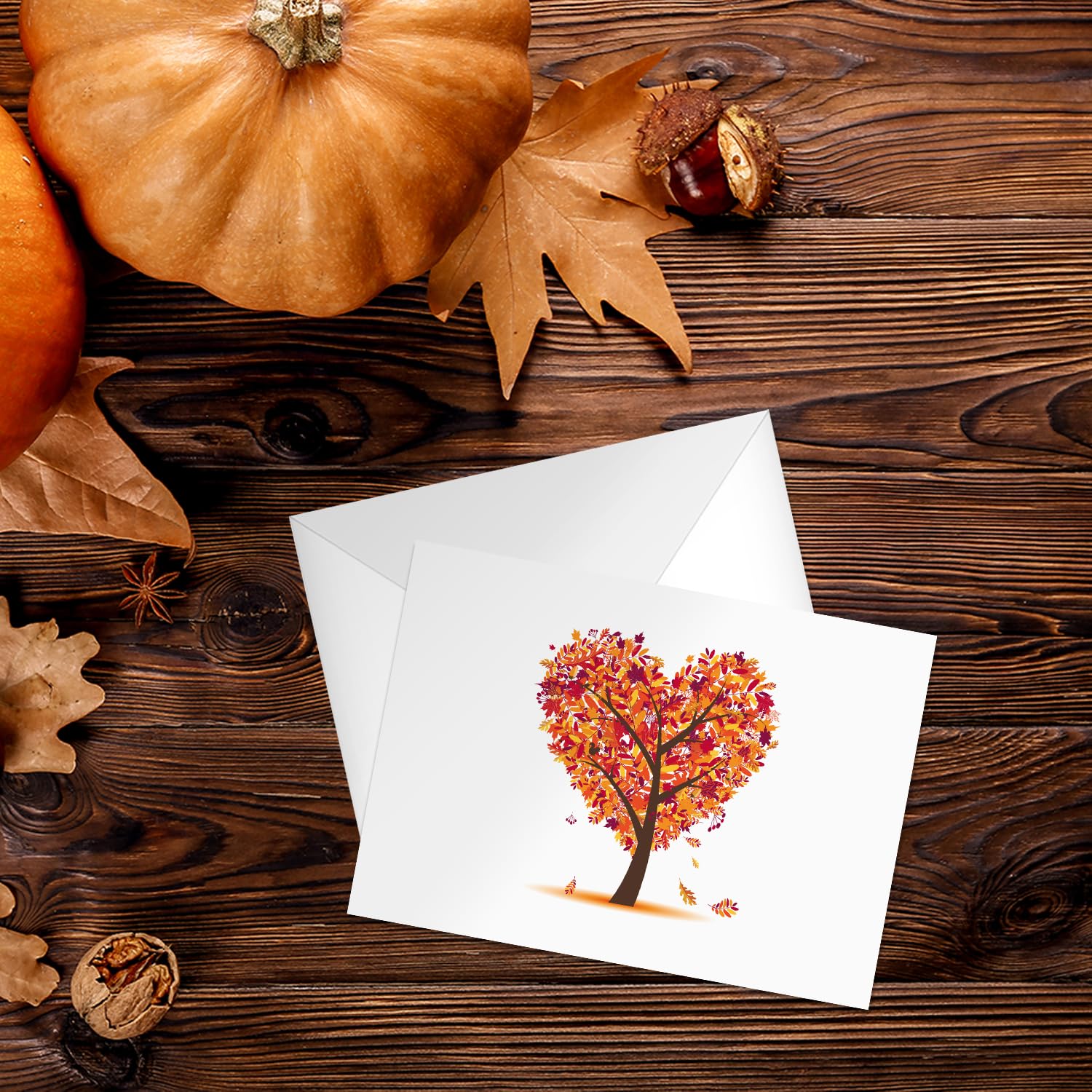 Seasons of Life Note Card Assortment Pack - Set of 24 cards - 4 designs blank inside - with white envelopes (54043)